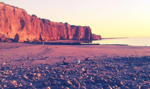 Ardrossan Caravan Park - Maitland Accommodation 31