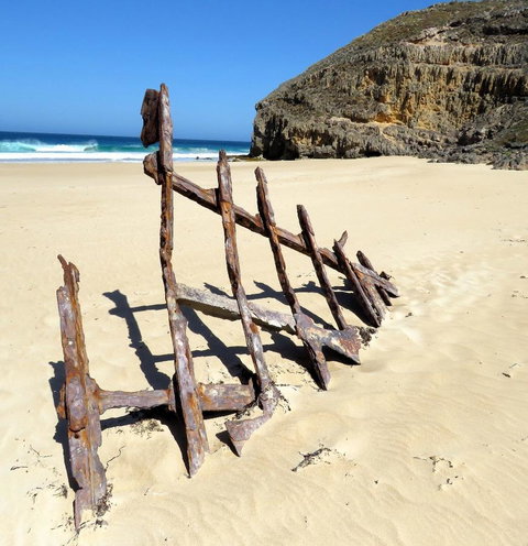 Edge Of Innes - Maitland Accommodation 10