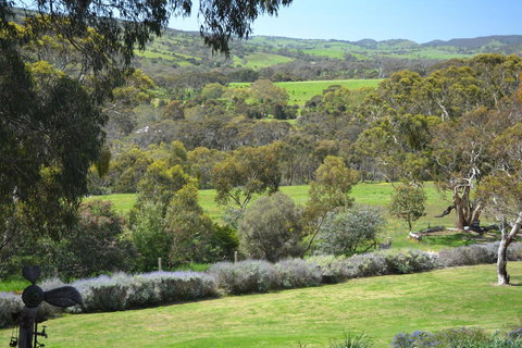 Cabernet Cottage - Maitland Accommodation 10