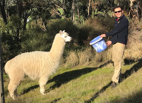 Cabernet Cottage - Maitland Accommodation 15