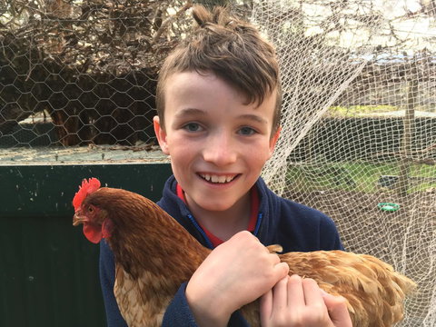 Cabernet Cottage - Maitland Accommodation 14