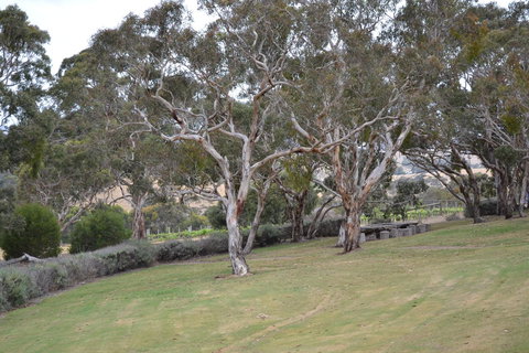 Cabernet Cottage - Maitland Accommodation 8
