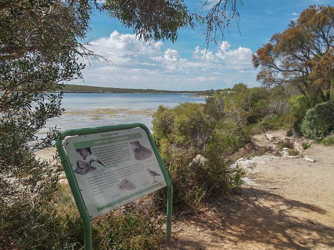 Willygunyah - Maitland Accommodation 31