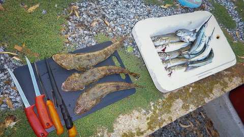 Willygunyah - Maitland Accommodation 30