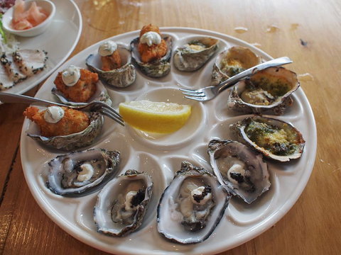 Willygunyah - Maitland Accommodation 28