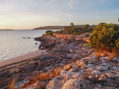 Willygunyah - Maitland Accommodation 29