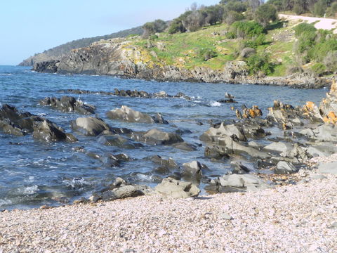 Ashendens At Penneshaw - Maitland Accommodation 2