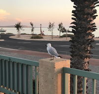 Shark Bay Seafront Apartments - Maitland Accommodation