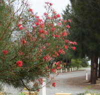 The Heights Bed  Breakfast - Maitland Accommodation