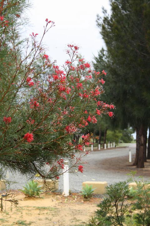 The Heights Bed & Breakfast - Maitland Accommodation 0