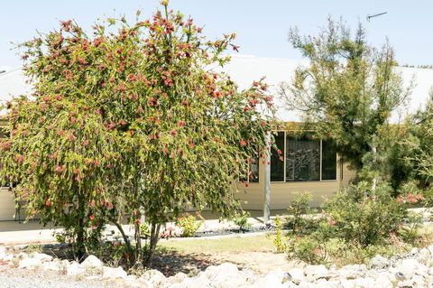 The Heights Bed & Breakfast - Maitland Accommodation 15