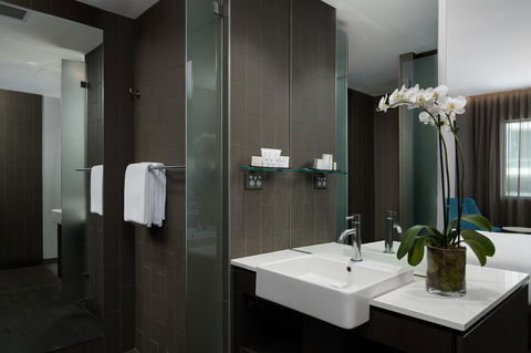 Rydges Sydney Airport Hotel - Maitland Accommodation 3