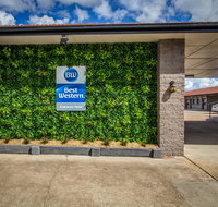 Best Western Endeavour Motel - Maitland Accommodation