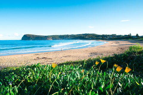 Copacabana Shores - Maitland Accommodation 2
