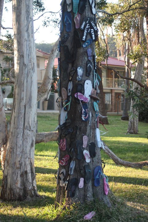 Ambience - Maitland Accommodation 33