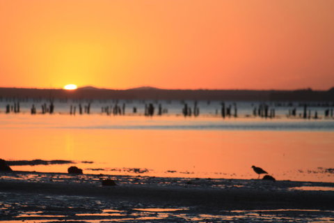 Ambience - Maitland Accommodation 35