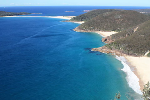 Ambience - Maitland Accommodation 29