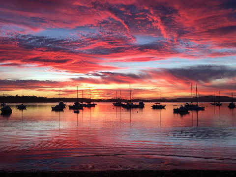 Ambience - Maitland Accommodation 0