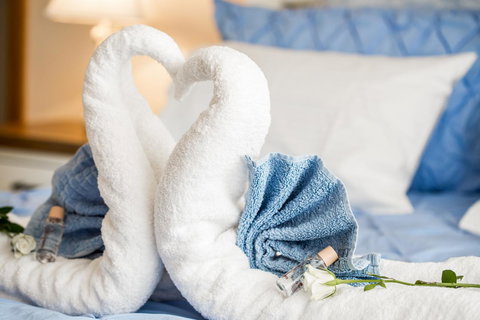 Ambience - Maitland Accommodation 11