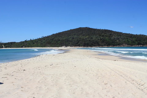 Ambience - Maitland Accommodation 31