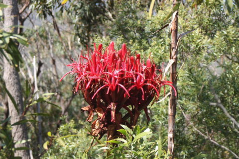 Ambience - Maitland Accommodation 30