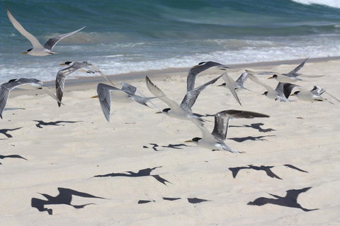 Ambience - Maitland Accommodation 32