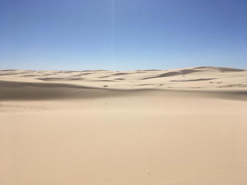 Ambience - Maitland Accommodation 34