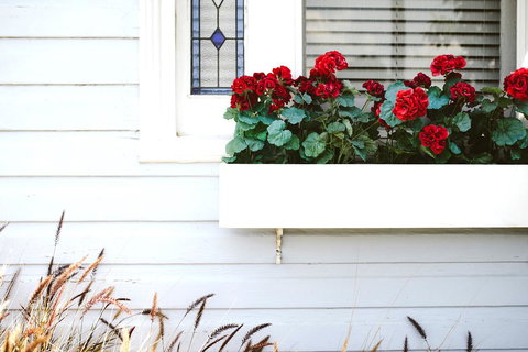 Morpeth Cottage - Maitland Accommodation 41