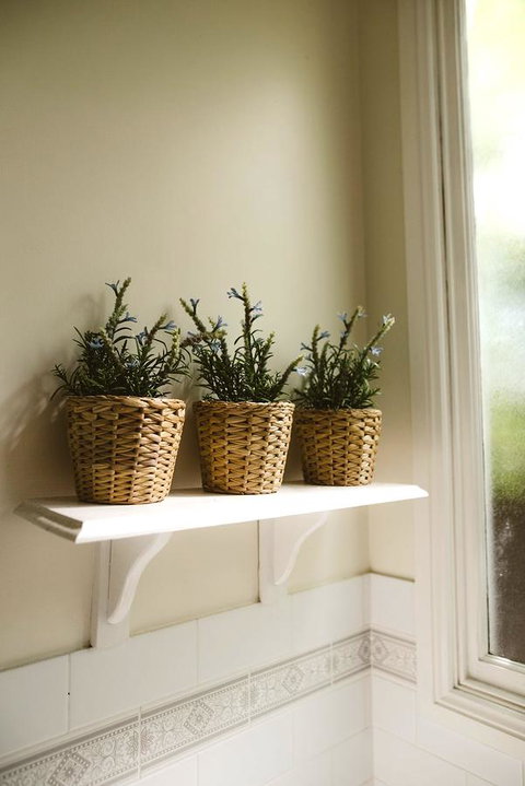 Morpeth Cottage - Maitland Accommodation 31