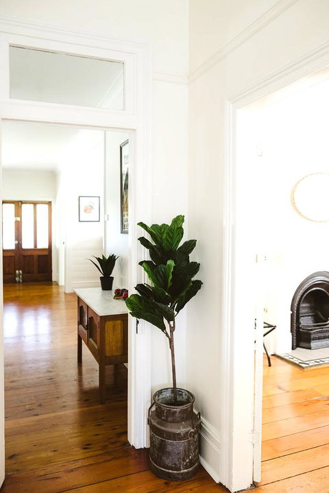 Morpeth Cottage - Maitland Accommodation 3