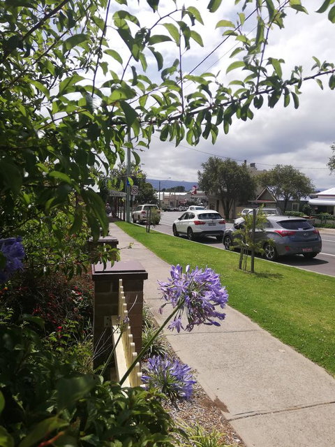 125 Milton - Maitland Accommodation 8