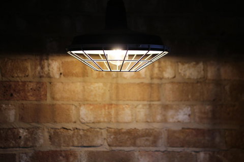 Best Western Plus Bolton On The Park - Maitland Accommodation 15