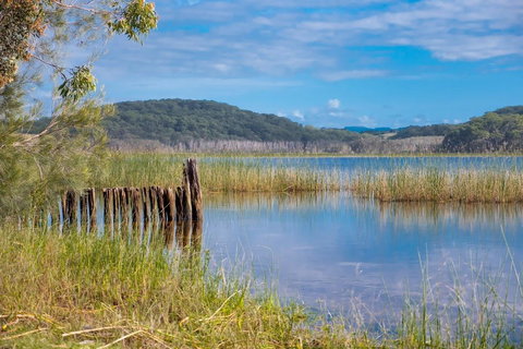 Cabarita Lake Apartments - Maitland Accommodation 11