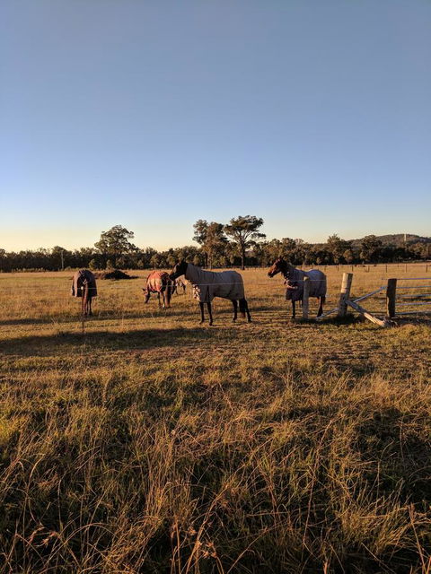 Madigan Wine Country Cottages - Maitland Accommodation 8