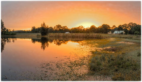 Madigan Wine Country Cottages - Maitland Accommodation 0