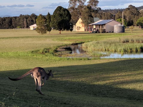 Madigan Wine Country Cottages - Maitland Accommodation 6