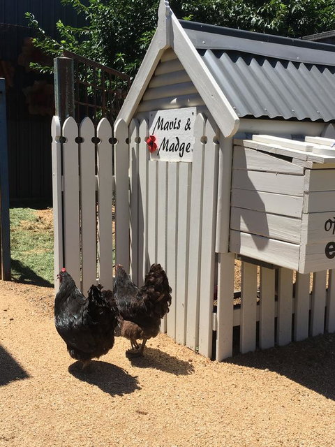 Thelma's Temora - Maitland Accommodation 12