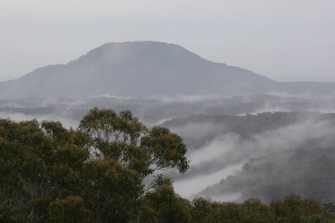 Christopher Tiny House - Maitland Accommodation 5