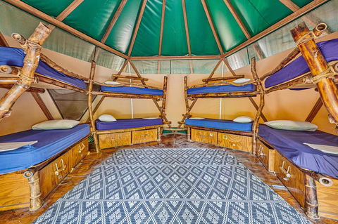 Arts Factory By Nomads - Maitland Accommodation 4