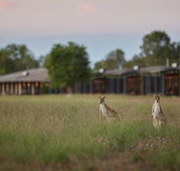 Wildman Wilderness Lodge - Maitland Accommodation
