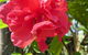 Darwin Beach Escape Holiday Home - thumb 24