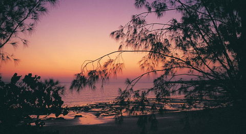 Darwin Beach Escape Holiday Home - Maitland Accommodation 25