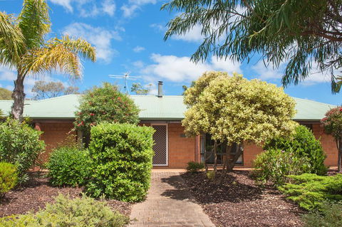 Bottlebrush - Maitland Accommodation 1