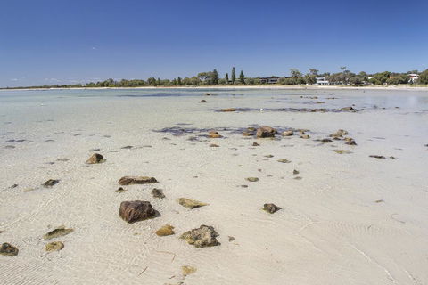 Bottlebrush - Maitland Accommodation 2