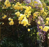 Bowral Road Bed and Breakfast - Maitland Accommodation