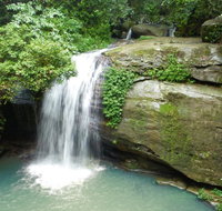 Buderim Forest Hideaway - Maitland Accommodation