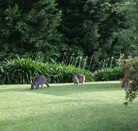 Bundanoon 2578 - Maitland Accommodation