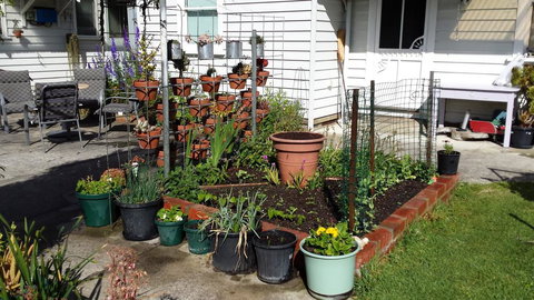 Carisbrook Cottage Queenscliff - Maitland Accommodation 1