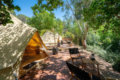 Castlemaine Gardens Luxury Glamping - Maitland Accommodation 0