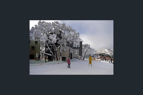 Chalet Deich - Pearse Apt 3 - Ski In Ski Out - Maitland Accommodation 1